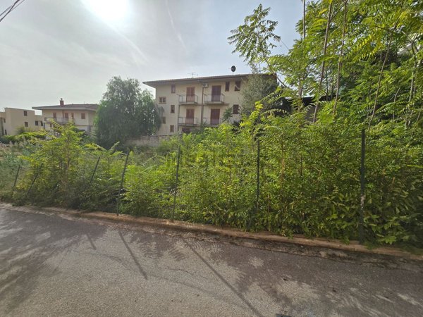 casa indipendente in vendita a Palermo in zona Borgo Nuovo