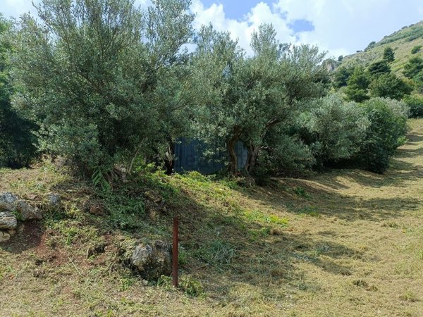 locale di sgombero in vendita a Palermo in zona Chiavelli