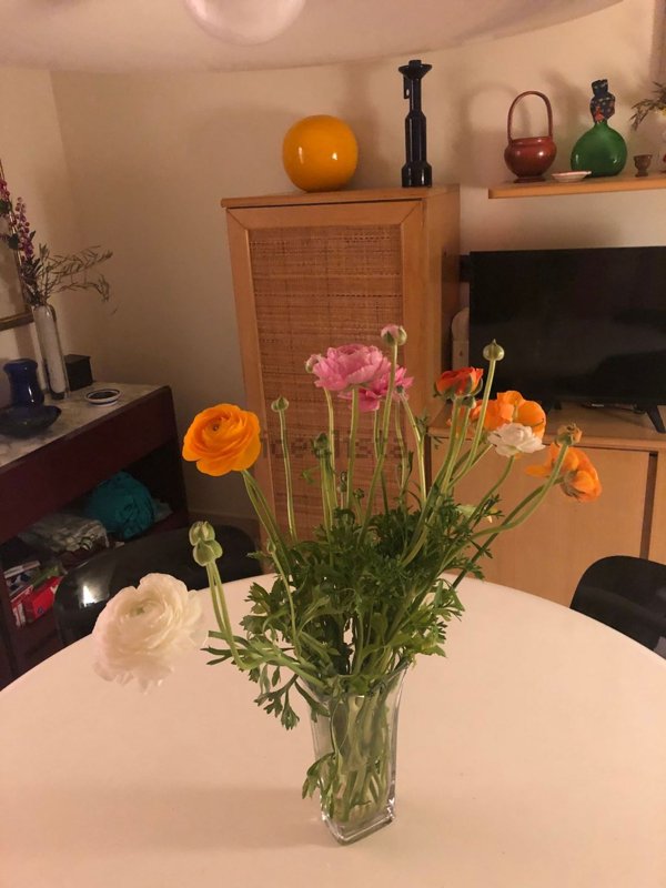 appartamento in vendita a Palermo in zona Cruillas