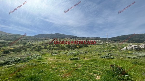 casa indipendente in vendita a Palermo in zona Libertà