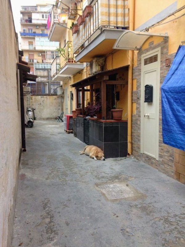 appartamento in vendita a Palermo in zona Arenella/Vergine Maria