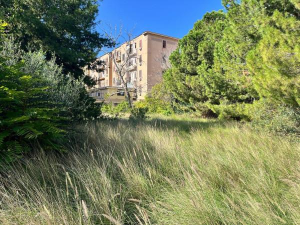terreno agricolo in vendita a Palermo in zona Montepellegrino