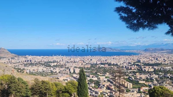 appartamento in vendita a Palermo in zona Borgo Nuovo