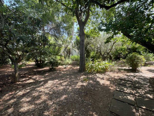 casa indipendente in vendita a Palermo