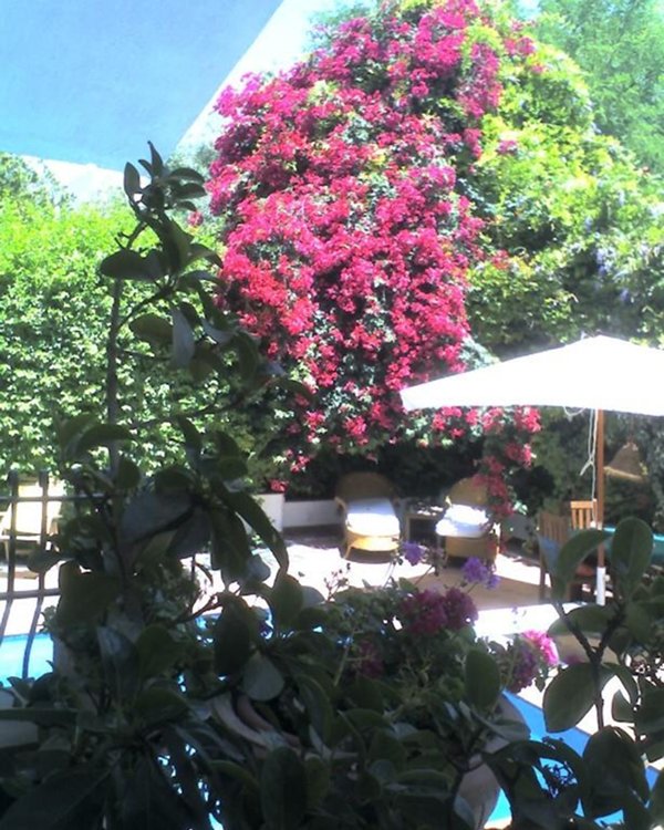 casa indipendente in vendita a Palermo in zona Mondello