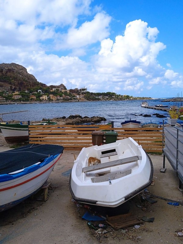 locale commerciale in vendita a Palermo in zona Sferracavallo