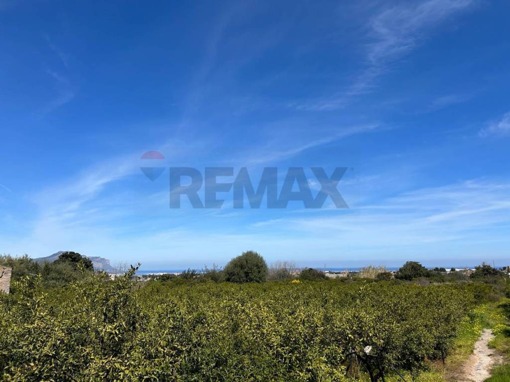 terreno agricolo in vendita a Palermo in zona Ciaculli