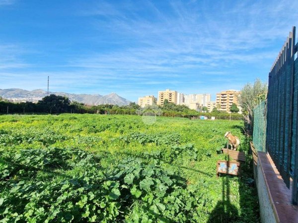 terreno agricolo in vendita a Palermo in zona Villagrazia/Falsomiele