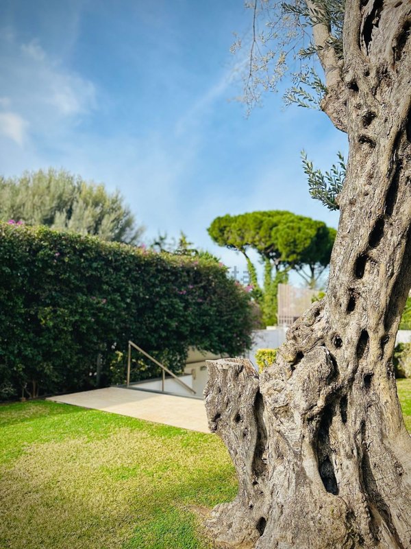 casa indipendente in vendita a Palermo in zona Mondello