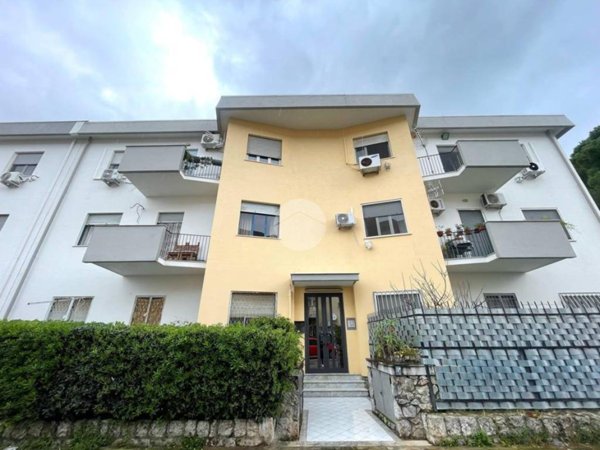 appartamento in vendita a Palermo in zona Borgo Nuovo