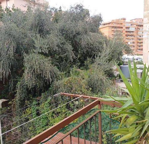 appartamento in vendita a Palermo in zona Pallavicino