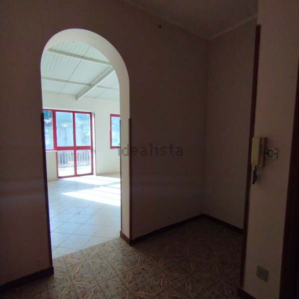 esavano in vendita a Palermo in zona Ciaculli