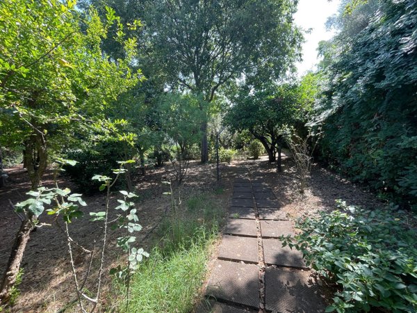 casa indipendente in vendita a Palermo