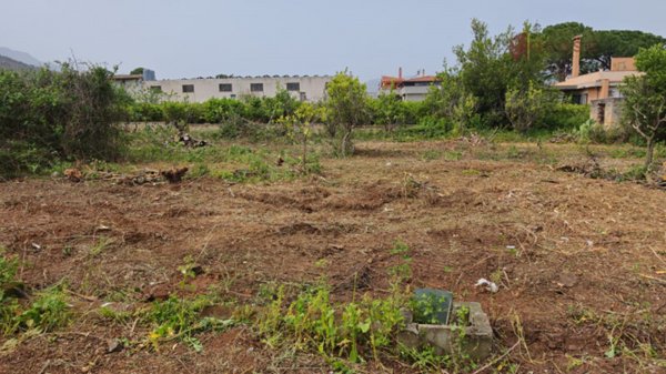terreno agricolo in vendita a Palermo