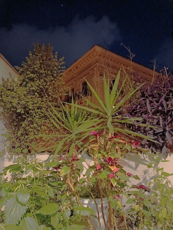 appartamento in vendita a Palermo in zona Centro storico