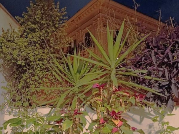 appartamento in vendita a Palermo in zona Centro storico