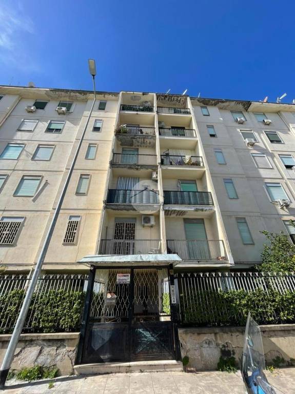 appartamento in vendita a Palermo in zona Borgo Nuovo