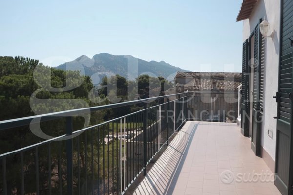 appartamento in affitto a Palermo in zona Partanna