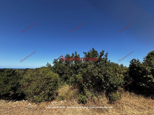 terreno agricolo in vendita a Palermo in zona Ciaculli