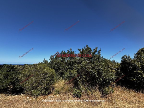 terreno agricolo in vendita a Palermo in zona Croceverde