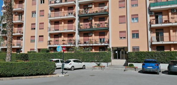 appartamento in vendita a Palermo in zona Borgo Nuovo