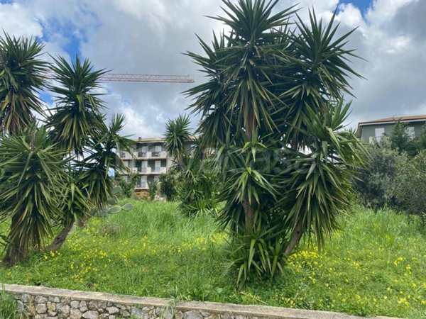 appartamento in vendita a Palermo in zona Centro storico