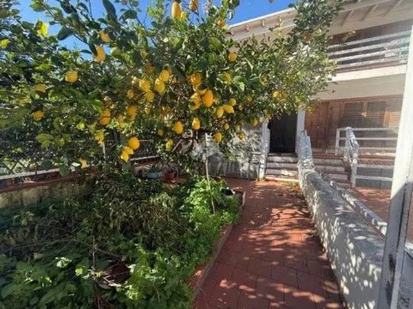 casa semindipendente in vendita a Palermo in zona Partanna