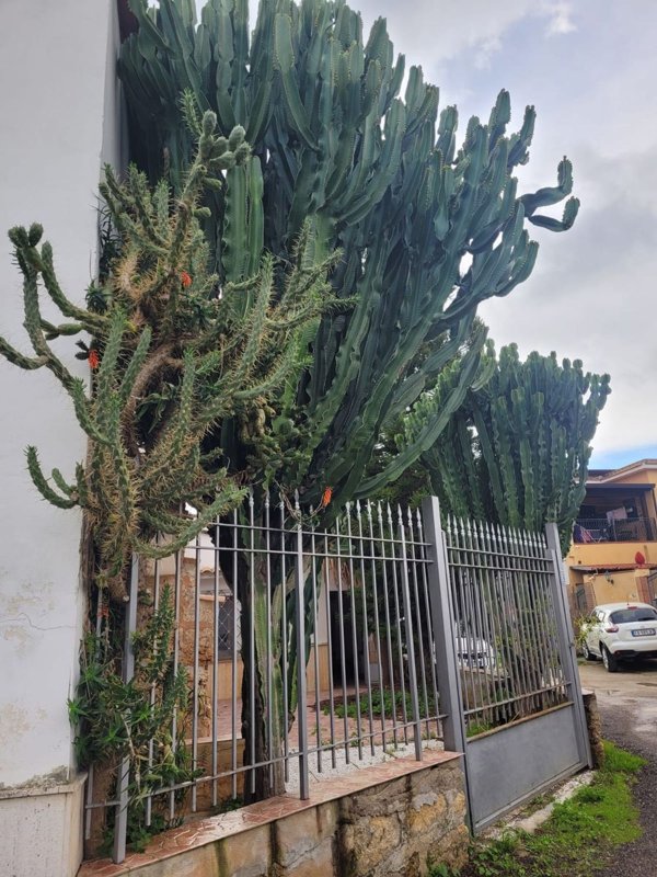 casa indipendente in vendita a Palermo in zona Pallavicino