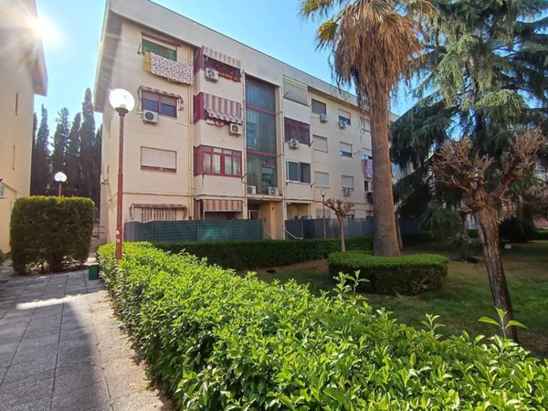 appartamento in vendita a Palermo in zona Borgo Nuovo