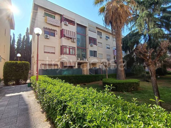 appartamento in vendita a Palermo in zona Uditore