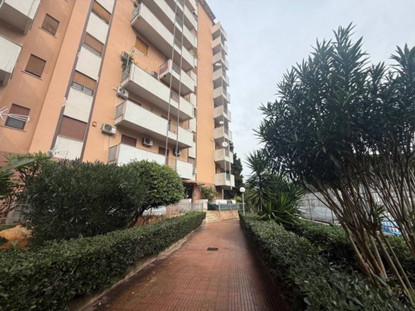 appartamento in vendita a Palermo in zona Borgo Nuovo