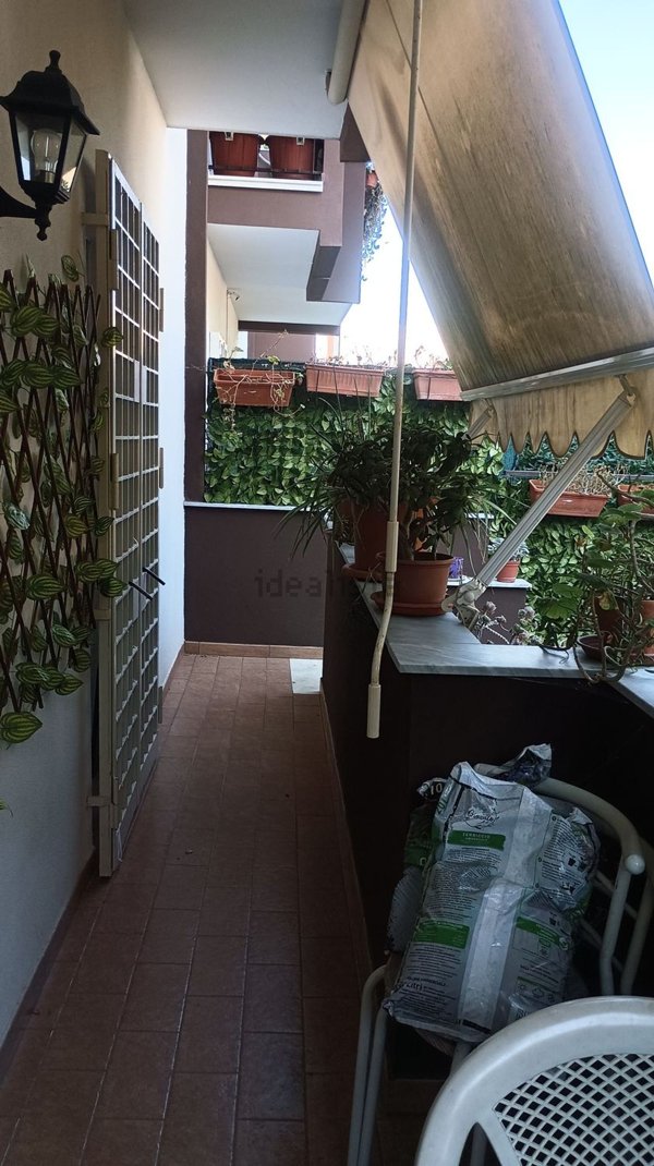 appartamento in vendita a Palermo in zona ZEN