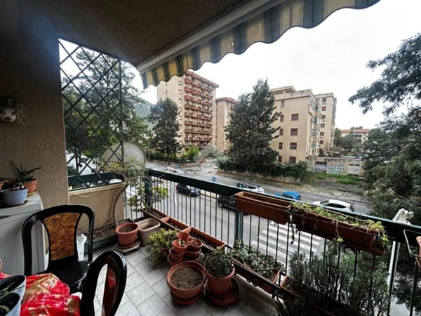 appartamento in vendita a Palermo in zona Chiavelli