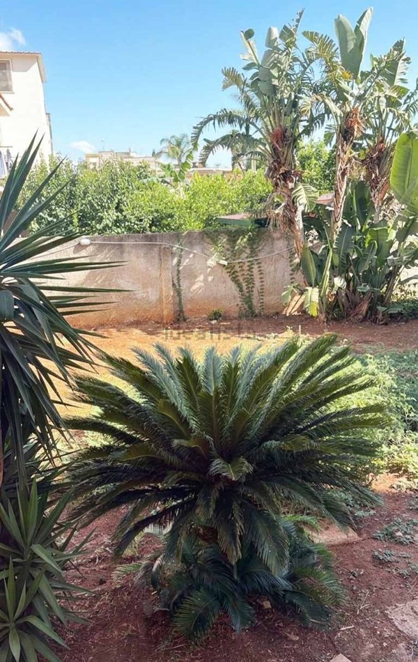 appartamento in vendita a Palermo in zona Partanna