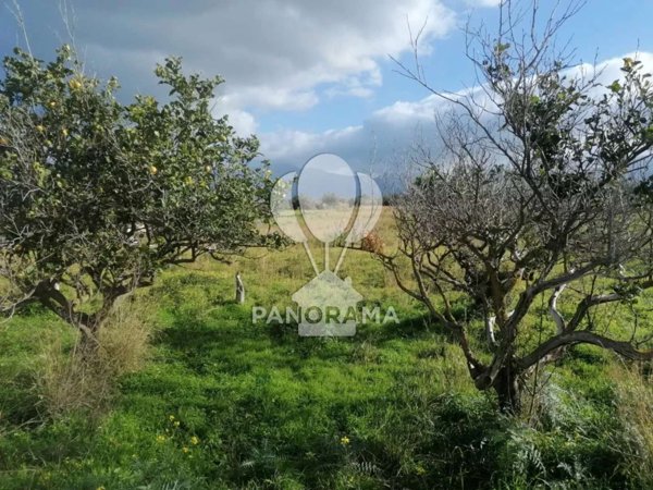 terreno agricolo in vendita a Partinico