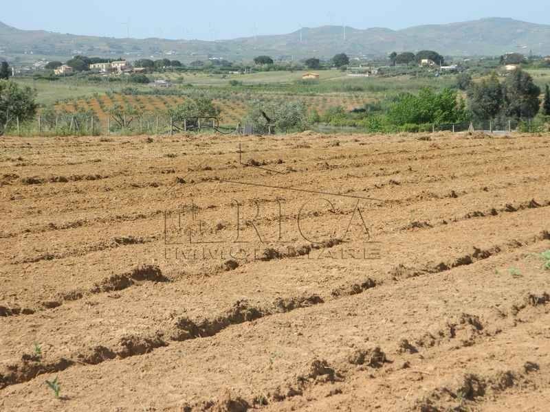 terreno agricolo in vendita a Partinico