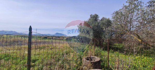 terreno agricolo in vendita a Partinico