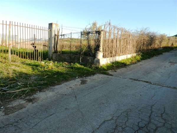 terreno agricolo in vendita a Partinico