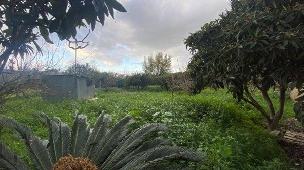 terreno agricolo in vendita a Partinico