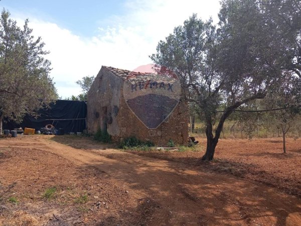 terreno agricolo in vendita a Partinico