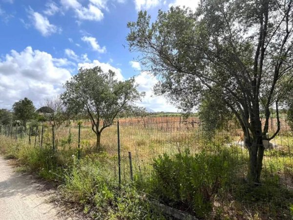 terreno agricolo in vendita a Partinico