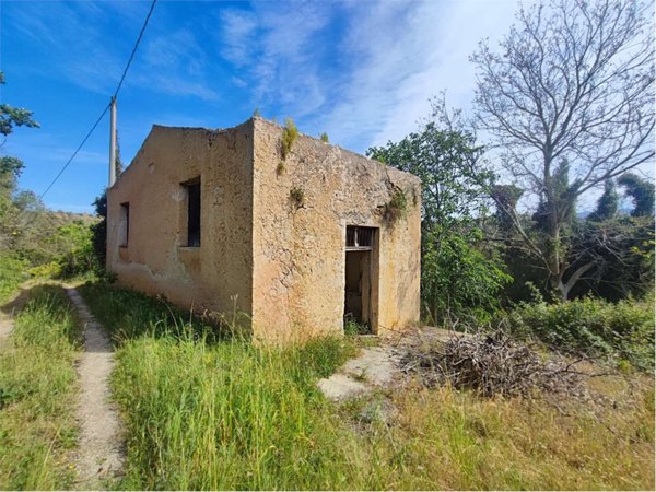 terreno agricolo in vendita a Partinico