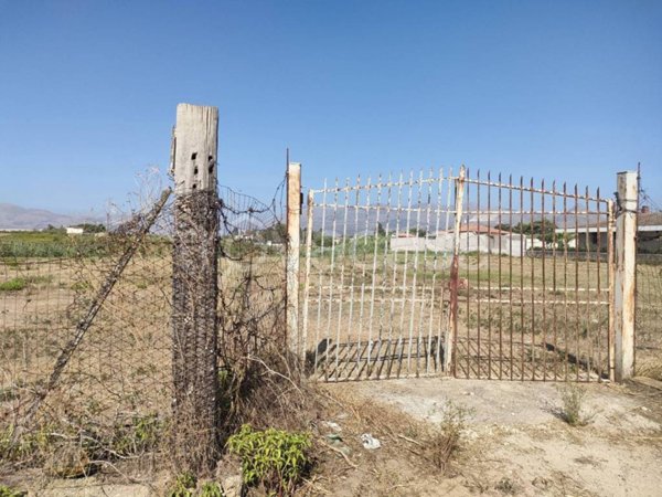 terreno agricolo in vendita a Partinico