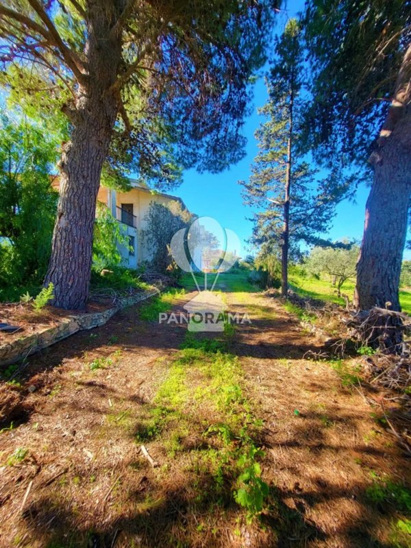 casa indipendente in vendita a Partinico