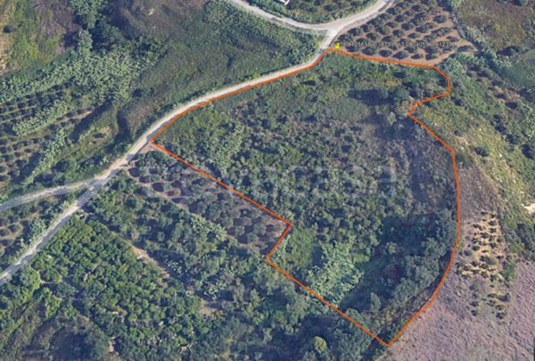 terreno agricolo in vendita a Partinico