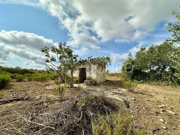 terreno agricolo in vendita a Partinico