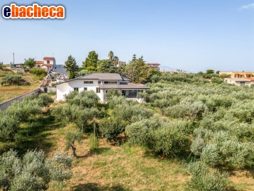 appartamento in vendita a Partinico
