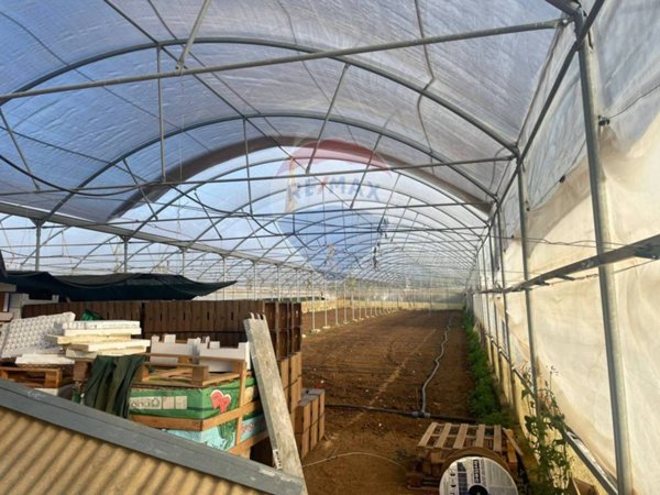 azienda agricola in vendita a Partinico in zona Parrini