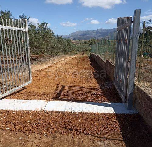 terreno agricolo in vendita a Partinico