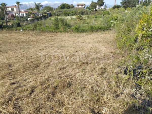 terreno agricolo in vendita a Partinico